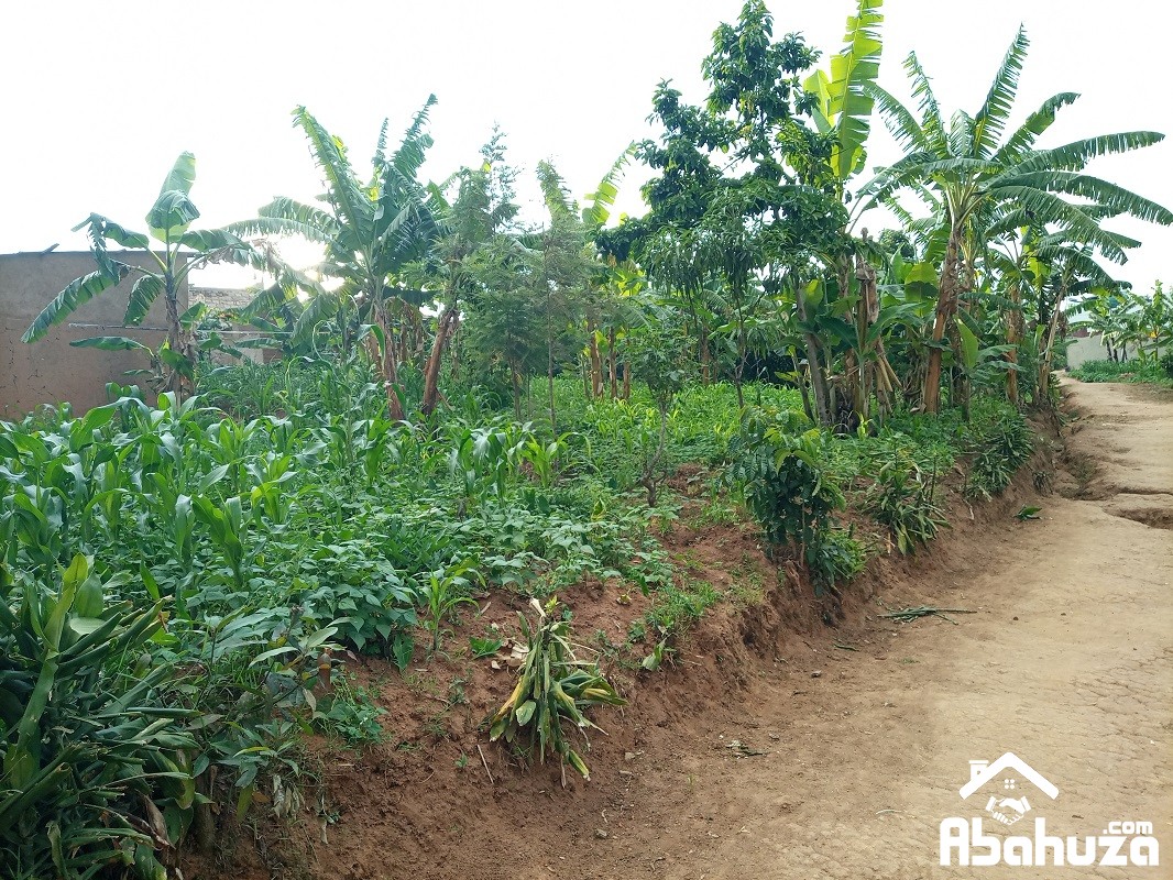 A PLOT FOR SALE IN KIGALI AT GACURIRO
