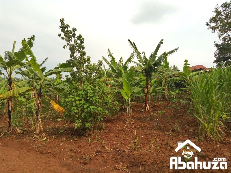 A PLOT ON LOW PRICE FOR SALE IN KIGALI AT GASOGI
