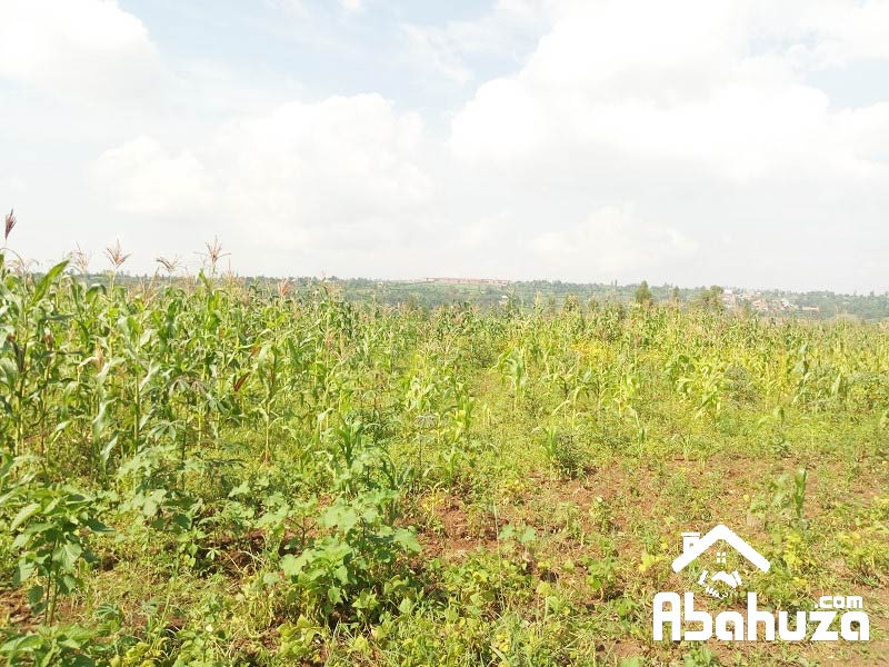 A VERY BIG RESIDENTIAL LAND OF 4 HECTARE FOR SALE