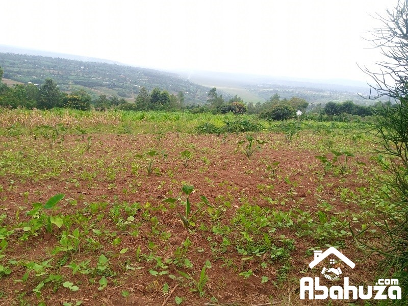 A  BIG RESIDENTIAL PLOT FOR SALE IN KIGALI AT MASAKA