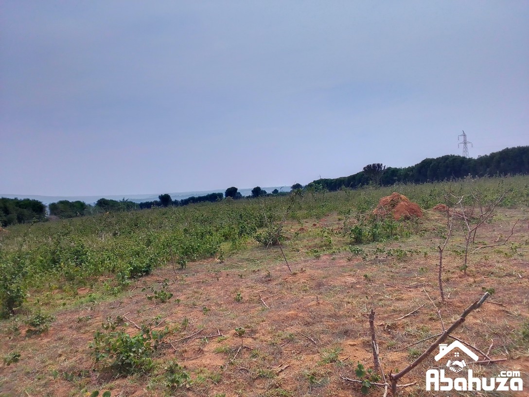 A GOOD INDUSTRIAL PLOT FOR SALE IN BUGESERA AT KAGASA-GASHORA
